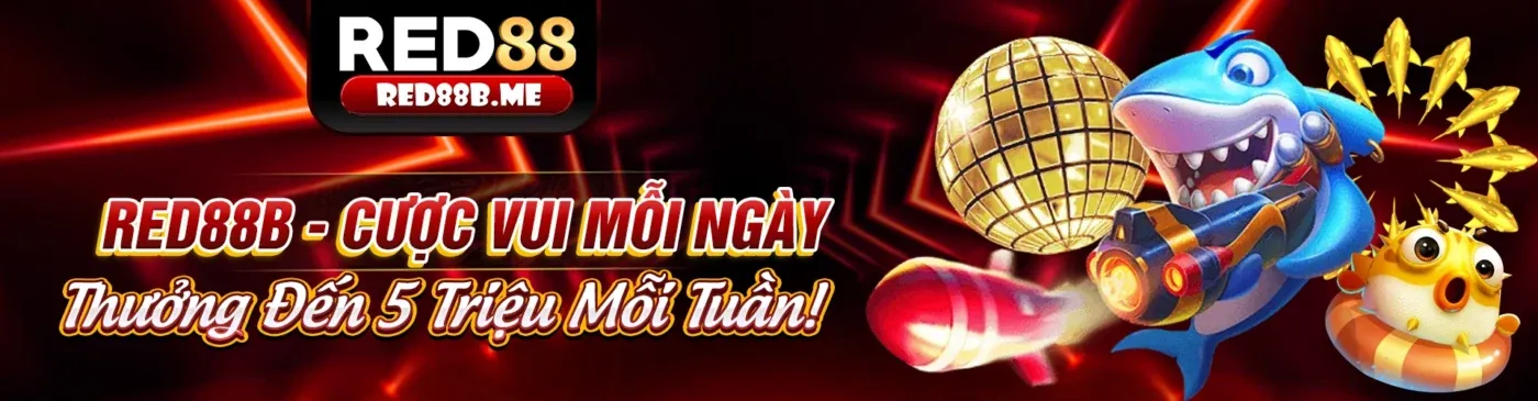 Hình ảnh tổng quan về momo88 bet, thể hiện sự chuyên nghiệp và uy tín của nền tảng cá cược trực tuyến hàng đầu Việt Nam