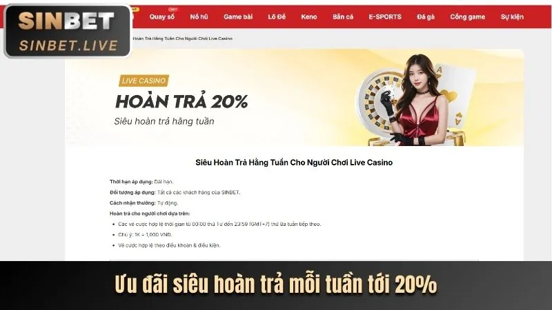 Hoàn trả không giới hạn tại momo88 bet